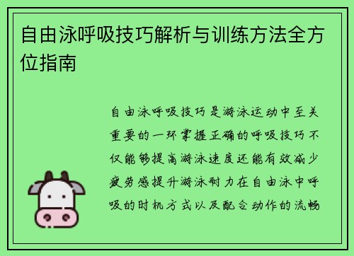 自由泳呼吸技巧解析与训练方法全方位指南
